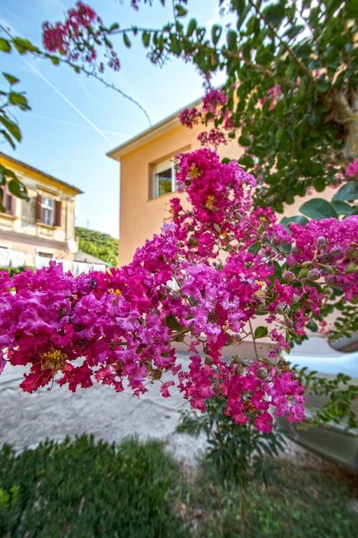 Apartman Nena Цриквеница Экстерьер фото